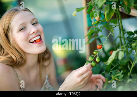 Garten Tomaten (Solanum Lycopersicum, Lycopersicon esculentum), junge Frau genießt eine reife Tomate aus einer Tomate, Deutschland Stockfoto