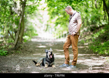 Berger de Picardie, Berger Picard (Canis lupus f. familiaris), Mann mit Hund auf einem Waldweg, Deutschland Stockfoto