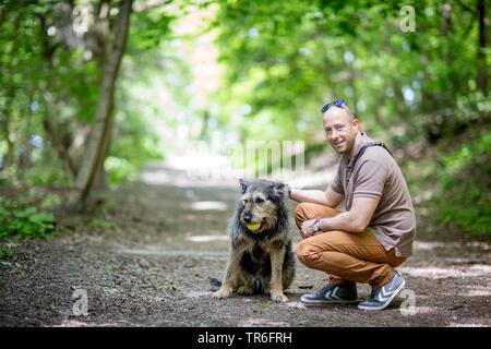 Berger de Picardie, Berger Picard (Canis lupus f. familiaris), mit Master auf einem Waldweg, Deutschland Stockfoto