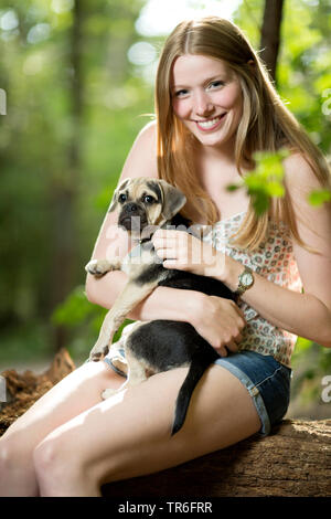 Haushund (Canis lupus f. familiaris), junge Frau mit einem niedlichen Puggle auf dem Schoß, Deutschland Stockfoto