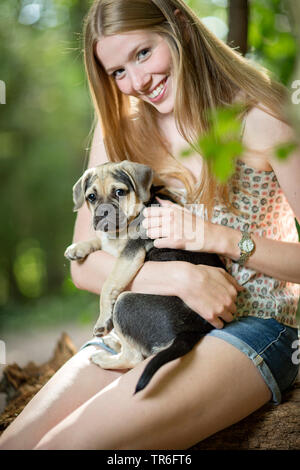 Haushund (Canis lupus f. familiaris), junge Frau mit einem niedlichen Puggle auf dem Schoß, Deutschland Stockfoto