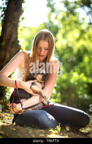 Haushund (Canis lupus f. familiaris), junge Frau sitzt im Wald boden und halten eine niedliche Puggle am Arm, Deutschland Stockfoto