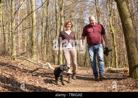 Flat Coated Retriever (Canis lupus f. familiaris), ein Paar mit Hund zu Fuß durch den Wald, Deutschland Stockfoto