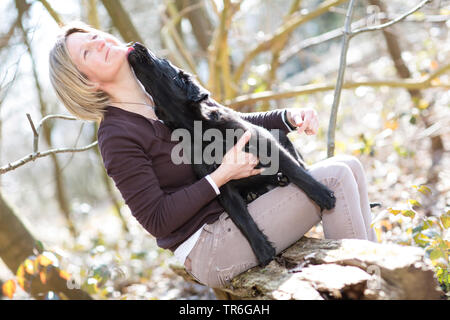 Flat Coated Retriever (Canis lupus f. familiaris), Frau mit Welpen im Wald, Deutschland Stockfoto