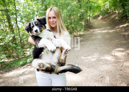 Australian Shepherd (Canis lupus f. familiaris), junge blonde Frau mit einem Welpen auf dem Arm, Deutschland Stockfoto