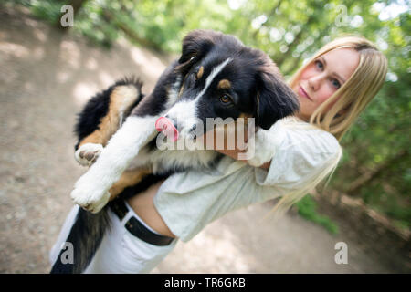 Australian Shepherd (Canis lupus f. familiaris), junge blonde Frau mit einem Welpen auf dem Arm, Deutschland Stockfoto