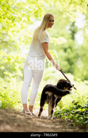 Australian Shepherd (Canis lupus f. familiaris), Welpen spielen mit eine junge Frau auf einem Waldweg, Deutschland Stockfoto