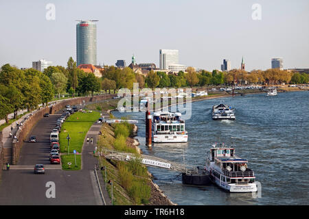 Rhein bei Golzheim, Ergo Turm im Hintergrund, Deutschland, Nordrhein-Westfalen, Niederrhein, Düsseldorf Stockfoto