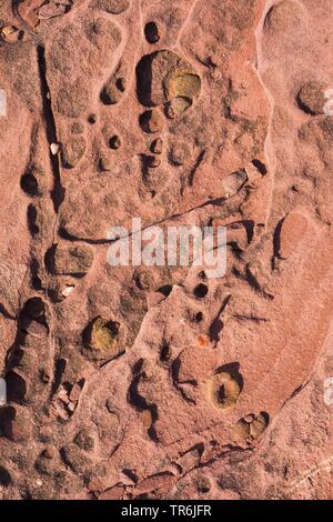 Strukturen in den Felsen der Bucht Porto Ferro, Italien, Sardinien, Alghero Stockfoto