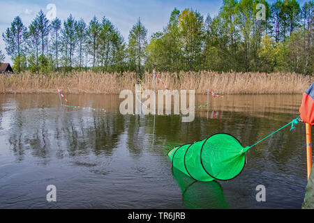 Bug net Angeln im See, Deutschland, Bayern, Brombachspeichersee Stockfoto