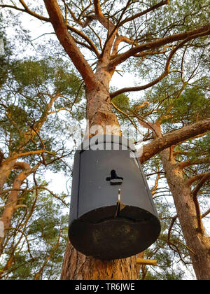 Batbox an einem Baumstamm, Deutschland Stockfoto