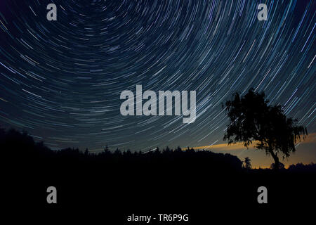 Nachthimmel mit star Trails, Deutschland, Bayern Stockfoto
