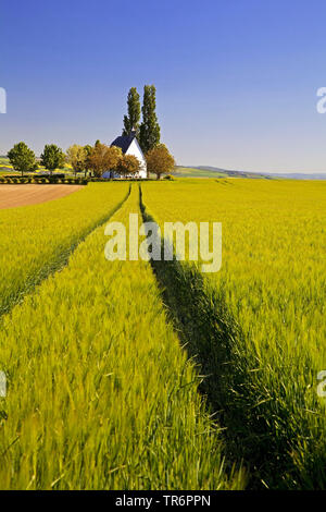 Feld Landschaft mit kleinen Kapelle Heilig-Kreuz-Kapelle, Deutschland, Rheinland-Pfalz, Eifel, Mertloch Stockfoto