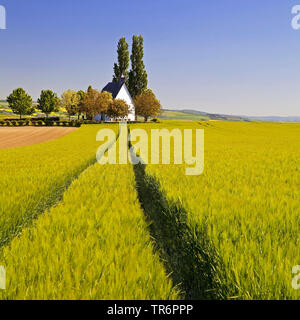 Feld Landschaft mit kleinen Kapelle Heilig-Kreuz-Kapelle, Deutschland, Rheinland-Pfalz, Eifel, Mertloch Stockfoto