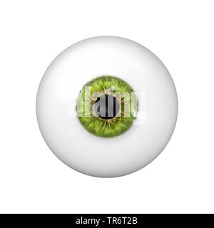 Menschen, Menschen, Menschen (Homo sapiens sapiens), green eye Ball mit Freistellungspfad Stockfoto