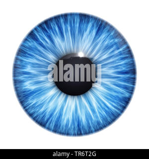 Menschen, Menschen, Menschen (Homo sapiens sapiens), Blue Eye Ball mit Freistellungspfad Stockfoto