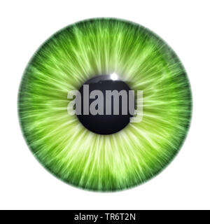 Menschen, Menschen, Menschen (Homo sapiens sapiens), green eye Ball mit Freistellungspfad Stockfoto