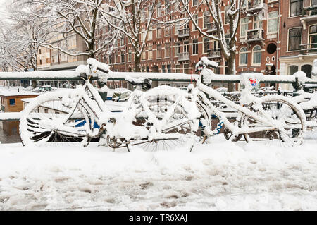 Stadtbild von schneebedeckten Amsterdam, Niederlande, Noord-Holland, Amsterdam Stockfoto