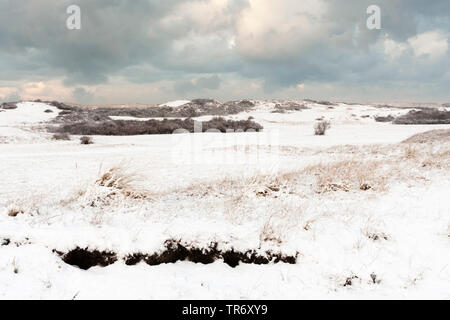 Verschneite Landschaft Hollands Duin im Winter, Niederlande, Südholland, Hollandse Duinen Nationalpark, Katwijk aan Zee Stockfoto