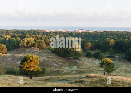 Überblick über Dünen mit Hotel im Hintergrund, Niederlande, Friesland, Vlieland Stockfoto