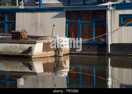 Schwarz Blässhuhn (Fulica atra), auf einem Schiff, Niederlande, Amsterdam sitzen Stockfoto