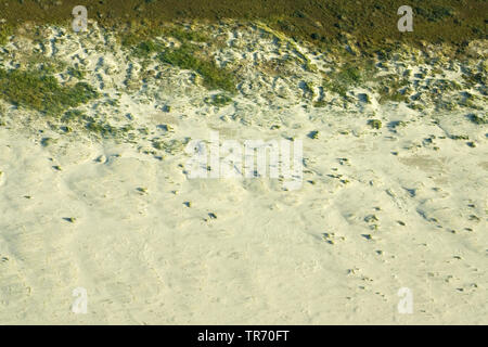 Luftbild von Schiermonnikoog, Niederlande Stockfoto