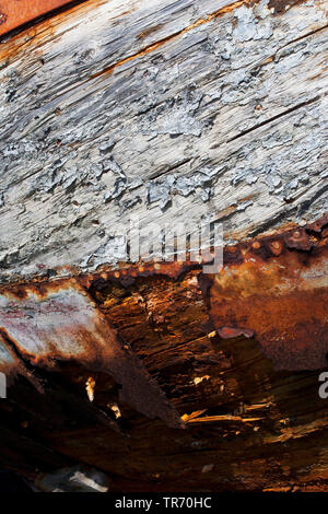 Detail shipswreck Grytviken Südgeorgien, Suedgeorgien Stockfoto