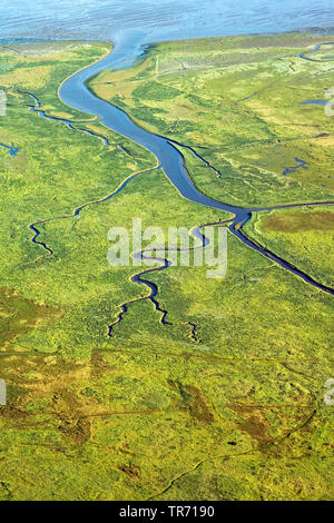 Oosterkwelder, Luftaufnahme, Niederlande, Friesland, Schiermonnikoog Stockfoto