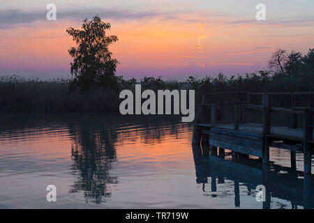 Sonnenuntergang am See Bühne landen, Österreich, Burgenland, Neusiedler See National Park Stockfoto