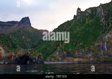 Gough Island, Suedgeorgien Stockfoto