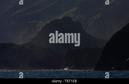 Gough Insel am Abend, Suedgeorgien, Gough Insel Stockfoto