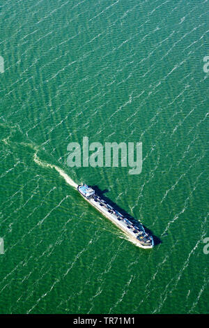 Frachtschiff auf dem IJsselmeer, Luftaufnahme, Niederlande Stockfoto