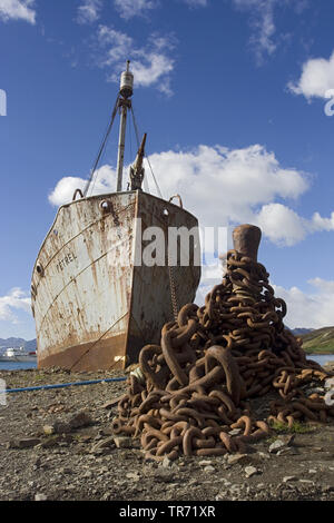 Wrack in Grytviken, Suedgeorgien Stockfoto