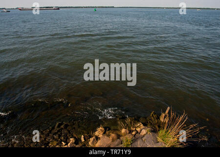 Hollands Diep, Niederlande, Südholland, Willemstad Stockfoto