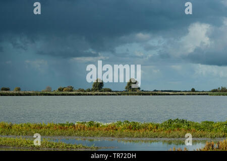 Dunkle bewölkter Himmel über den See, Niederlande, Flevoland, Oostvaardersplassen Stockfoto