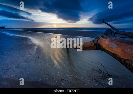 Filiale an der Ostseeküste in den Sonnenuntergang, Deutschland, Mecklenburg-Vorpommern, Weststrand am Darss, Prerow Stockfoto