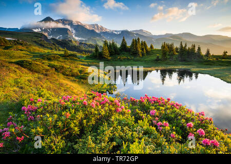 Blick über Chalberboden zu Schwarzhorn, Schweiz, Berner Alpen Stockfoto