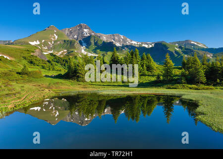 Chalberboden und Schwarzhorn, Schweiz, Berner Alpen Stockfoto