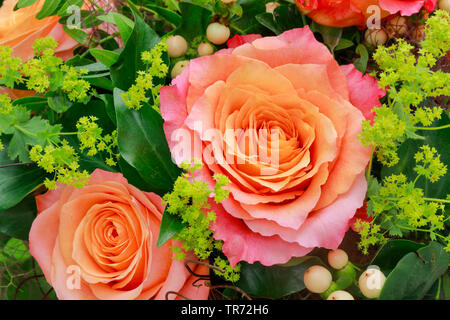 Blumenstrauß mit Rosen und ladys-Mantel Stockfoto