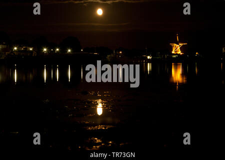 Bat Lebensraum in der Nacht, Niederlande Stockfoto