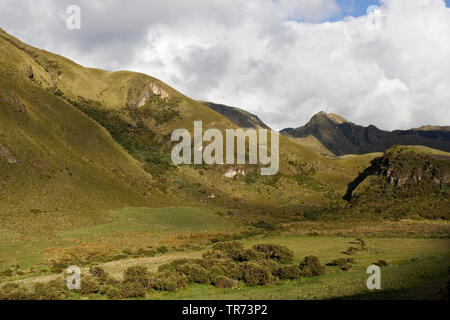 Papallacta Pass, Ecuador, Quito Stockfoto