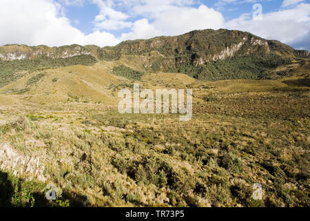 Papallacta Pass, Ecuador, Quito Stockfoto