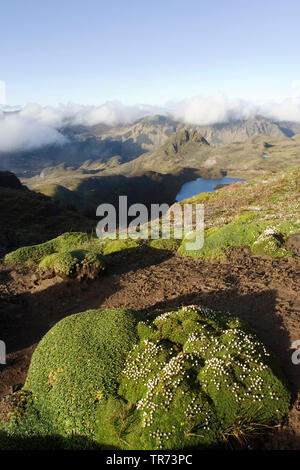 Papallacta Pass, Ecuador, Quito Stockfoto