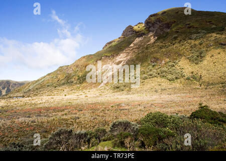 Papallacta Pass, Ecuador, Quito Stockfoto