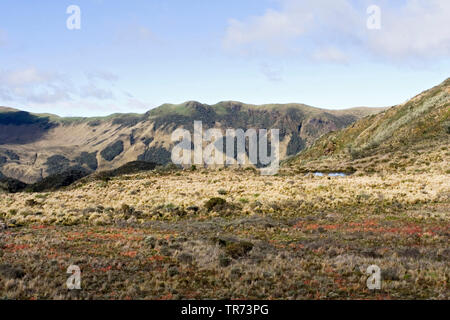 Papallacta Pass, Ecuador, Quito Stockfoto