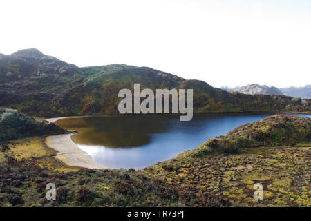 Papallacta Pass, Ecuador, Quito Stockfoto