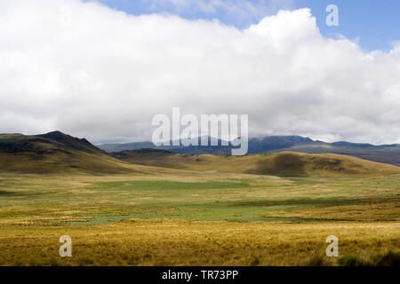 Antisana finden, Ecuador, Anden Stockfoto