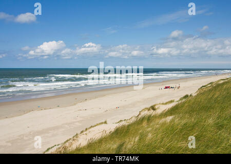 Küste auf Texel, Niederlande, Texel Stockfoto