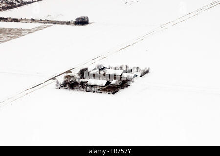 Bauernhöfe in Flevopolder im Winter, Luftaufnahme, Niederlande, Flevoland, Flevopolder Stockfoto