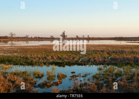 Zhosaly gut in der kyzylkum Wüste, Kasachstan Stockfoto